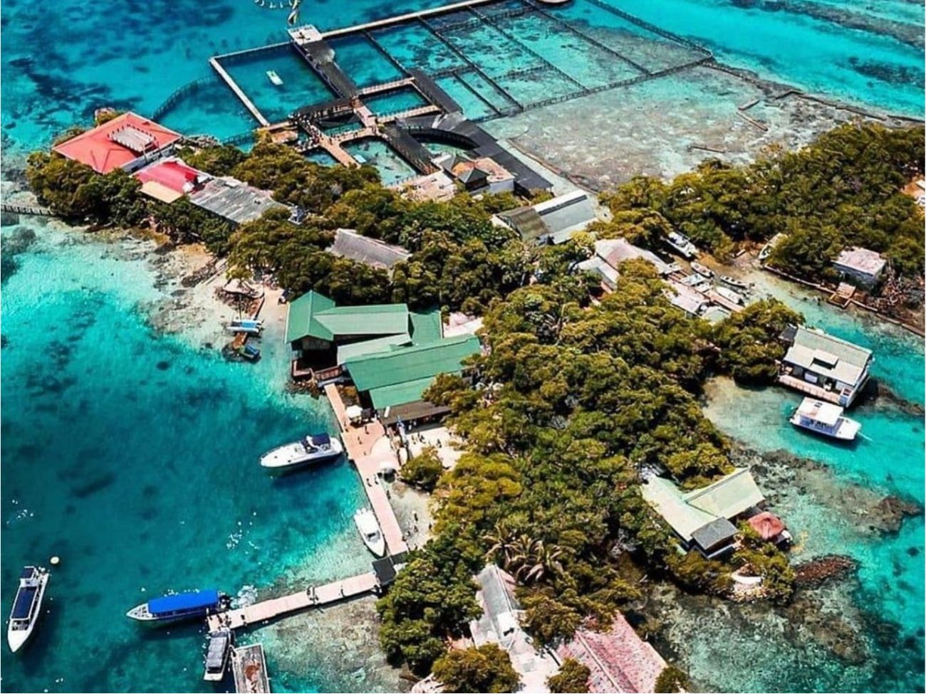 Barú e Islas del Rosario en Cartagena