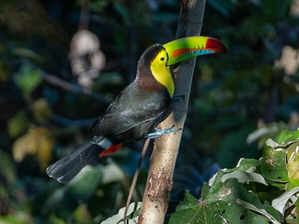 Santa Marta en 4 días: Paquete 3 noches con 3 experiencias incluidas