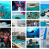 Paquete 5 Noches de Alojamiento + 5 Experiencias en San Andres Islas