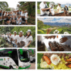 Tour del Café en Antioquia