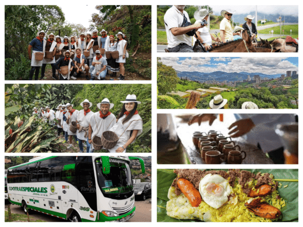 Tour del Café en Antioquia