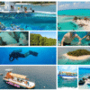 Combo de Actividades #19: Semisubmarino + Tour VIP a Acuario, Haynes Cay, Johnny Cay, Manglares (2 Tours)