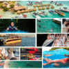 Combo de Actividades #2: Excursión 4 Islas + Tour Bahía Rumbero en Cartagena (2 Tours)