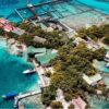 Combo de Actividades #5: Palmarito Beach + Barú e Islas del Rosario en Cartagena (2 Tours)