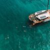 Pasadía Islas del Rosario en Catamarán