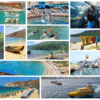 Combo de Actividades #9: Bahía Concha Parque Tayrona + Acuario con Show de Delfines y Playa Blanca en Santa Marta (2 Tours)