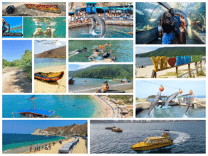 Combo de Actividades #9: Bahía Concha Parque Tayrona + Acuario con Show de Delfines y Playa Blanca en Santa Marta (2 Tours)