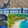 Combo de Actividades #13: Minca, Pozo Azul, Taganga y Playa Grande + Bahía Concha Parque Tayrona + Fiesta Blanca en Katamarán + Acuario con Show de Delfines y Playa Blanca + City Tour en Santa Marta (5 Tours)