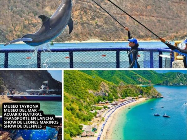 Combo de Actividades #13: Minca, Pozo Azul, Taganga y Playa Grande + Bahía Concha Parque Tayrona + Fiesta Blanca en Katamarán + Acuario con Show de Delfines y Playa Blanca + City Tour en Santa Marta (5 Tours)