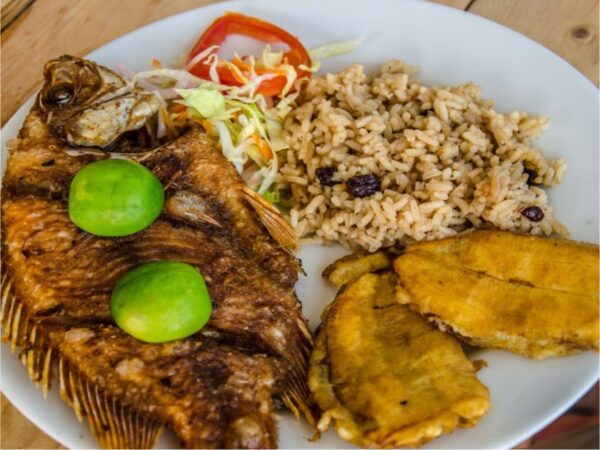 Combo de Actividades #12: Minca, Pozo Azul, Taganga y Playa Grande + Bahía Concha Parque Tayrona + Fiesta Blanca en Katamarán + City Tour en Santa Marta (4 Tours)