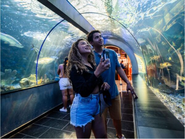 Combo de Actividades #13: Minca, Pozo Azul, Taganga y Playa Grande + Bahía Concha Parque Tayrona + Fiesta Blanca en Katamarán + Acuario con Show de Delfines y Playa Blanca + City Tour en Santa Marta (5 Tours)
