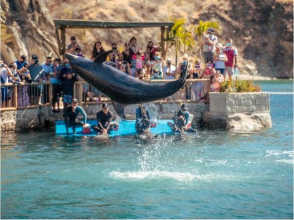 Combo de Actividades #11: Minca, Taganga Pozo Azul y Playa Grande + Bahía Concha Parque Tayrona + Acuario con Show de Delfines y Playa Blanca en Santa Marta (3 Tours)
