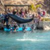 Combo de Actividades #13: Minca, Pozo Azul, Taganga y Playa Grande + Bahía Concha Parque Tayrona + Fiesta Blanca en Katamarán + Acuario con Show de Delfines y Playa Blanca + City Tour en Santa Marta (5 Tours)