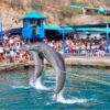 Combo de Actividades #11: Minca, Taganga Pozo Azul y Playa Grande + Bahía Concha Parque Tayrona + Acuario con Show de Delfines y Playa Blanca en Santa Marta (3 Tours)