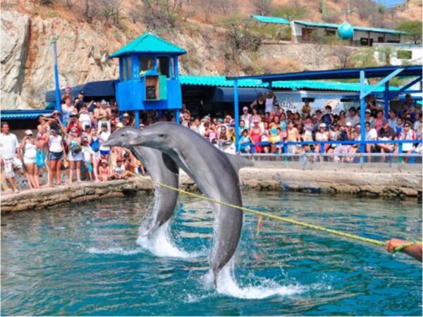 Combo de Actividades #11: Minca, Taganga Pozo Azul y Playa Grande + Bahía Concha Parque Tayrona + Acuario con Show de Delfines y Playa Blanca en Santa Marta (3 Tours)