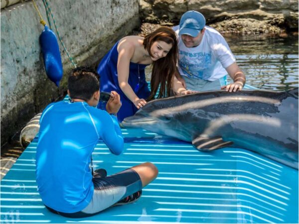 Combo de Actividades #13: Minca, Pozo Azul, Taganga y Playa Grande + Bahía Concha Parque Tayrona + Fiesta Blanca en Katamarán + Acuario con Show de Delfines y Playa Blanca + City Tour en Santa Marta (5 Tours)