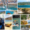 Combo de Actividades #11: Minca, Taganga Pozo Azul y Playa Grande + Bahía Concha Parque Tayrona + Acuario con Show de Delfines y Playa Blanca en Santa Marta (3 Tours)