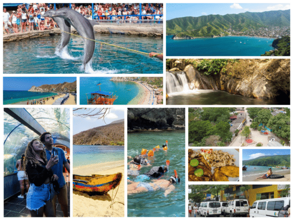 Combo de Actividades #11: Minca, Taganga Pozo Azul y Playa Grande + Bahía Concha Parque Tayrona + Acuario con Show de Delfines y Playa Blanca en Santa Marta (3 Tours)