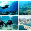 Combo de Actividades #15: Buceo + Pasadía en Minca: Cascadas, Miradores y Taller de Café y Cacao en la Sierra Nevada (2 Tours)