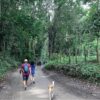 Combo de Actividades #15: Buceo + Pasadía en Minca: Cascadas, Miradores y Taller de Café y Cacao en la Sierra Nevada (2 Tours)