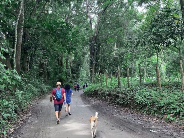 Combo de Actividades #15: Buceo + Pasadía en Minca: Cascadas, Miradores y Taller de Café y Cacao en la Sierra Nevada (2 Tours)