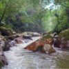 Combo de Actividades #15: Buceo + Pasadía en Minca: Cascadas, Miradores y Taller de Café y Cacao en la Sierra Nevada (2 Tours)