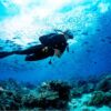 Combo de Actividades #15: Buceo + Pasadía en Minca: Cascadas, Miradores y Taller de Café y Cacao en la Sierra Nevada (2 Tours)