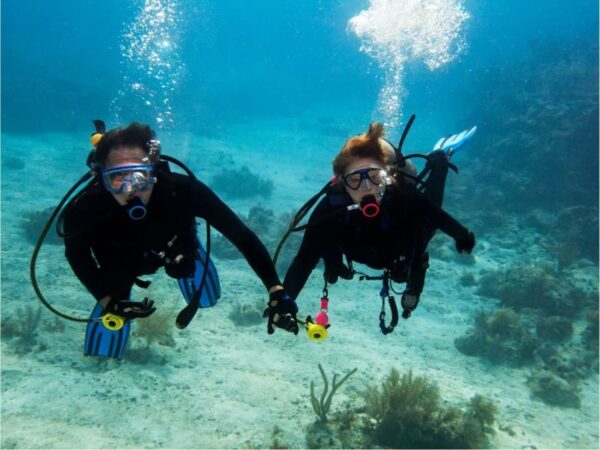 Combo de Actividades #15: Buceo + Pasadía en Minca: Cascadas, Miradores y Taller de Café y Cacao en la Sierra Nevada (2 Tours)