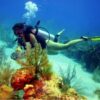 Combo de Actividades #15: Buceo + Pasadía en Minca: Cascadas, Miradores y Taller de Café y Cacao en la Sierra Nevada (2 Tours)