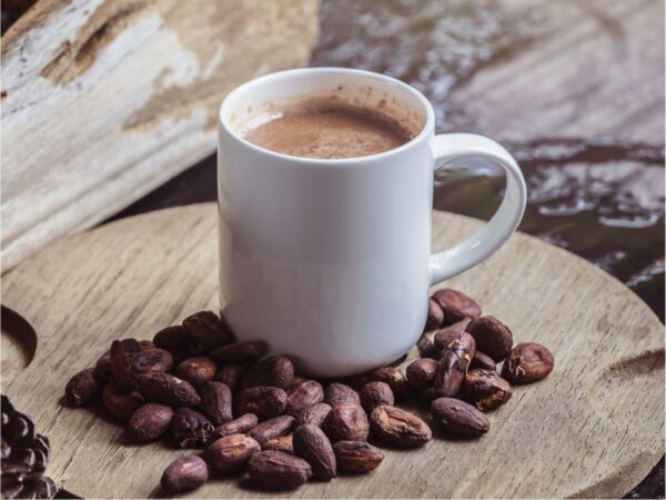 Combo de Actividades #15: Buceo + Pasadía en Minca: Cascadas, Miradores y Taller de Café y Cacao en la Sierra Nevada (2 Tours)