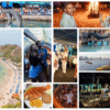 Combo de Actividades #7: Acuario con Show de Delfines y Playa Blanca + Fiesta Blanca en Katamarán Santa Marta (2 Tours)