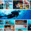 Combo de Actividades #10: Parasail + Noche Blanca + Buceo en San Andrés Islas (3 Tours)