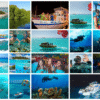 Combo de Actividades #13: Parasail + Noche Blanca + Buceo + Tour VIP a Acuario, Haynes Cay, Johnny Cay, Manglares (4 Tours)
