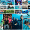 Combo de Actividades #12: Tour Bahía en Pontón + Yate Rumba + Buceo + Vuelta a la Isla en Chiva + Parasail en San Andrés Islas (5 Tours)