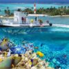 Combo de Actividades #14: Tour VIP a Acuario, Haynes Cay, Johnny Cay, Manglares + Semisubmarino en San Andrés Islas (2 Tours)
