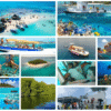 Combo de Actividades #14: Tour VIP a Acuario, Haynes Cay, Johnny Cay, Manglares + Semisubmarino en San Andrés Islas (2 Tours)