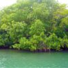 Combo de Actividades #6: Tour Bahía en Pontón + Parasail en San Andrés Islas (2 Tours)