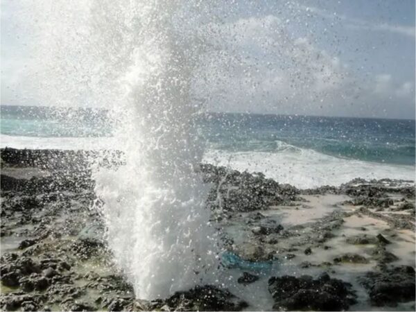 Combo de Actividades #7: Tour VIP + Buceo + Vuelta a la Isla en Chiva San Andrés Islas (3 Tours)