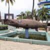 Combo de Actividades #7: Tour VIP + Buceo + Vuelta a la Isla en Chiva San Andrés Islas (3 Tours)