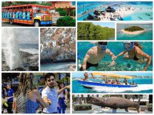 Combo de Actividades #4: Tour VIP + Vuelta a la Isla en Chiva San Andrés (2 Tours)