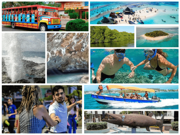 Combo de Actividades #4: Tour VIP a Acuario, Haynes Cay, Johnny Cay, Manglares + Vuelta a la Isla en Chiva San Andrés (2 Tours)