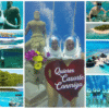 Combo de Actividades #5: Aquanautas + Tour VIP en San Andrés Islas (2 Tours)