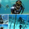 Combo de Actividades #9: Parasail + Tour VIP + Buceo en San Andrés Islas (3 Tours)