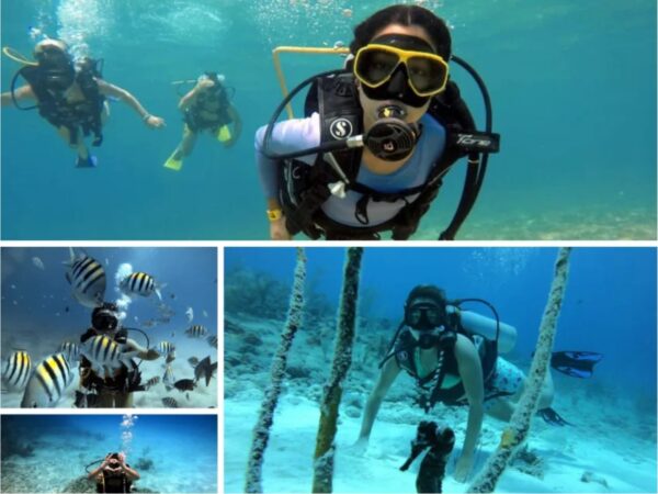 Combo de Actividades #9: Parasail + Tour VIP + Buceo en San Andrés Islas (3 Tours)