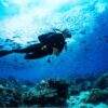 Combo de Actividades #9: Parasail + Tour VIP + Buceo en San Andrés Islas (3 Tours)