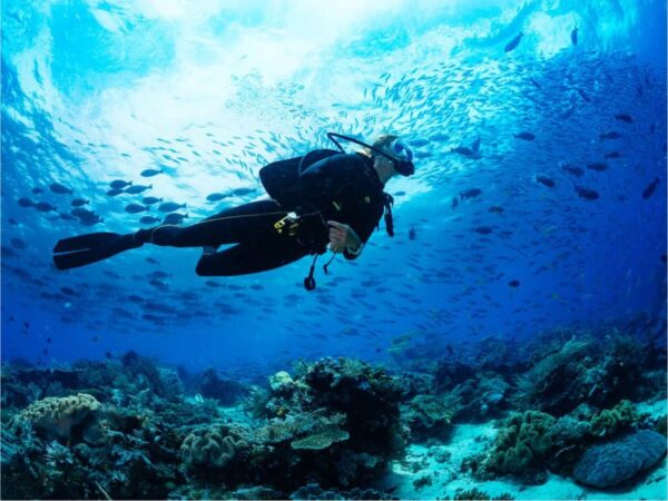 Combo de Actividades #9: Parasail + Tour VIP + Buceo en San Andrés Islas (3 Tours)