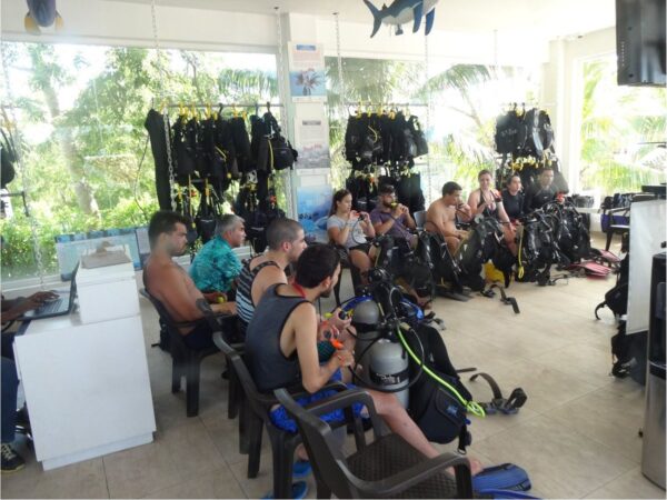 Combo de Actividades #9: Parasail + Tour VIP + Buceo en San Andrés Islas (3 Tours)