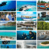 Combo de Actividades #7: Tour VIP + Buceo + Vuelta a la Isla en Chiva San Andrés Islas (3 Tours)