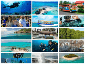 Combo de Actividades #7: Tour VIP + Buceo + Vuelta a la Isla en Chiva San Andrés Islas (3 Tours)