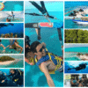 Combo de Actividades #9: Parasail + Tour VIP + Buceo en San Andrés Islas (3 Tours)